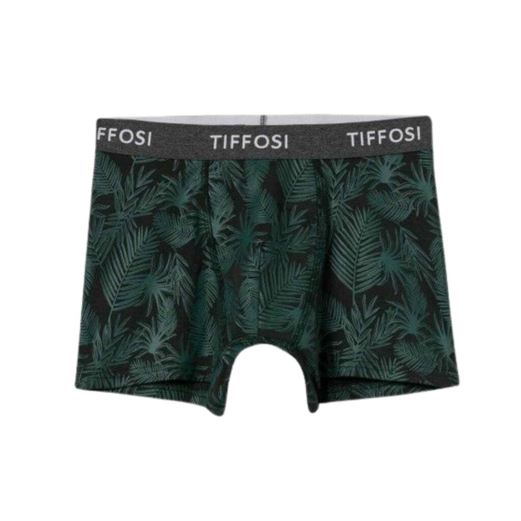 boxer-hojastiffosi