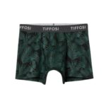 boxer-hojastiffosi