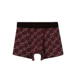 boxer-dinos-estampado