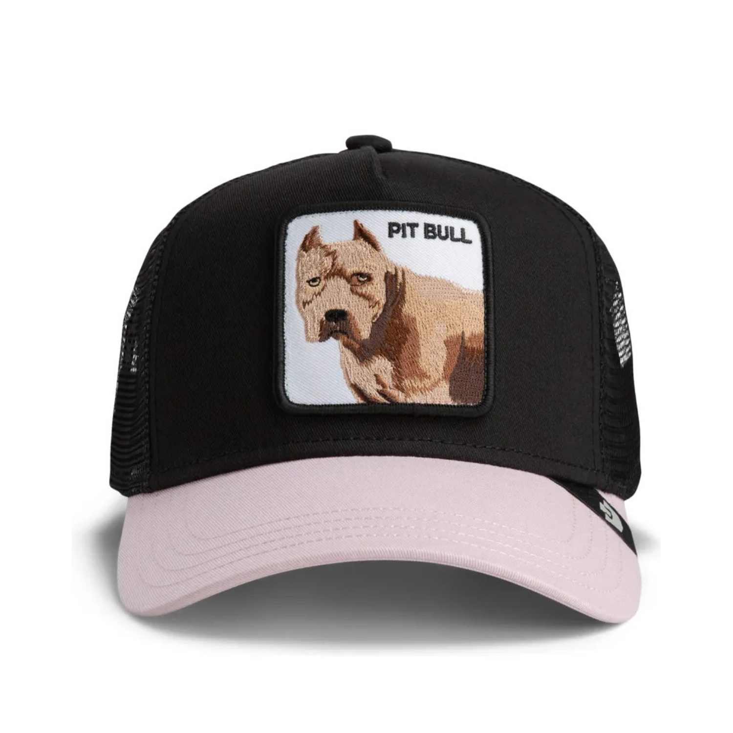 gorra-pitbull
