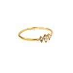 anillo-doradovila